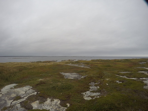 Photograph of Pinchard's Island, Newfoundland — September 19, 2017 at 2:59 PM
