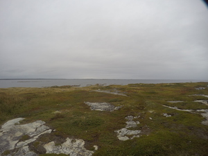 Photograph of Pinchard's Island, Newfoundland — September 19, 2017 at 3:59 PM