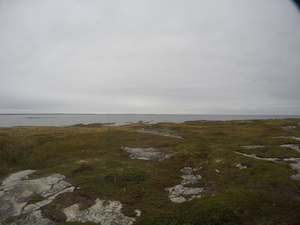 Photograph of Pinchard's Island, Newfoundland — September 19, 2017 at 4:32 PM