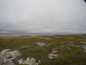 Photograph of Pinchard's Island, Newfoundland — September 19, 2017 at 5:22 PM