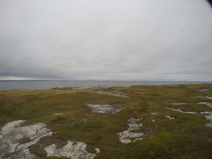 Photograph of Pinchard's Island, Newfoundland — September 19, 2017 at 5:25 PM