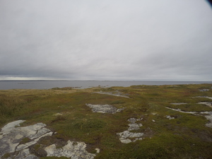 Photograph of Pinchard's Island, Newfoundland — September 19, 2017 at 5:27 PM