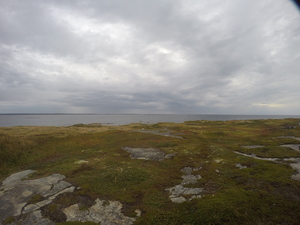 Photograph of Pinchard's Island, Newfoundland — September 20, 2017 at 7:59 AM