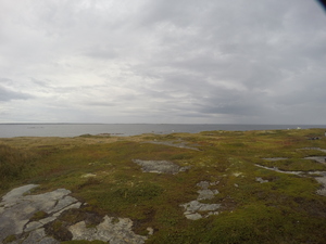 Photograph of Pinchard's Island, Newfoundland — September 20, 2017 at 8:59 AM