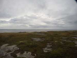Photograph of Pinchard's Island, Newfoundland — September 20, 2017 at 9:59 AM