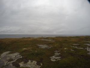 Photograph of Pinchard's Island, Newfoundland — September 20, 2017 at 11:59 AM