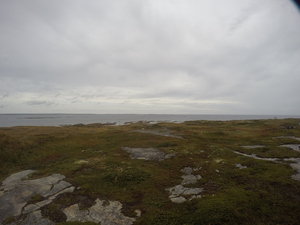 Photograph of Pinchard's Island, Newfoundland — September 20, 2017 at 1:59 PM