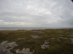 Photograph of Pinchard's Island, Newfoundland — September 20, 2017 at 5:58 PM