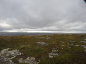 Photograph of Pinchard's Island, Newfoundland — September 21, 2017 at 8:59 AM