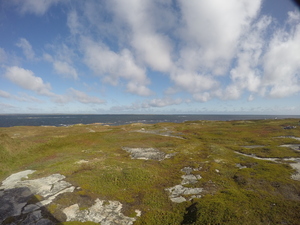 Photograph of Pinchard's Island, Newfoundland — September 21, 2017 at 10:59 AM