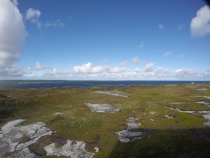 Photograph of Pinchard's Island, Newfoundland — September 21, 2017 at 2:59 PM