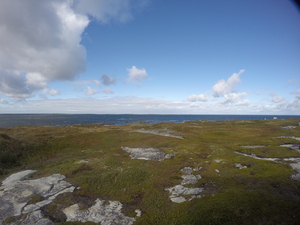 Photograph of Pinchard's Island, Newfoundland — September 21, 2017 at 3:25 PM
