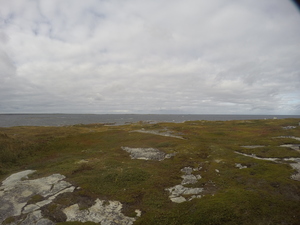 Photograph of Pinchard's Island, Newfoundland — September 21, 2017 at 3:59 PM