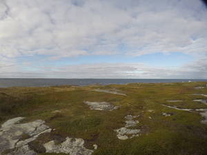 Photograph of Pinchard's Island, Newfoundland — September 21, 2017 at 4:59 PM