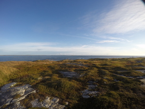 Photograph of Pinchard's Island, Newfoundland — September 22, 2017 at 7:59 AM