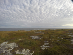 Photograph of Pinchard's Island, Newfoundland — September 22, 2017 at 8:59 AM