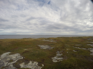 Photograph of Pinchard's Island, Newfoundland — September 22, 2017 at 9:59 AM