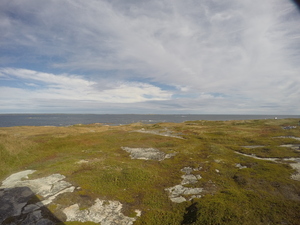 Photograph of Pinchard's Island, Newfoundland — September 22, 2017 at 10:59 AM