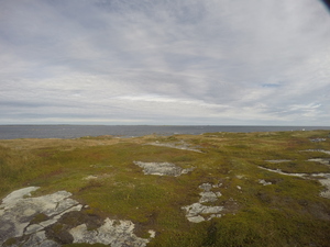 Photograph of Pinchard's Island, Newfoundland — September 22, 2017 at 11:59 AM