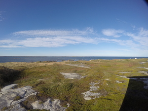 Photograph of Pinchard's Island, Newfoundland — September 22, 2017 at 4:59 PM