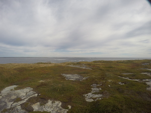 Photograph of Pinchard's Island, Newfoundland — September 23, 2017 at 9:59 AM