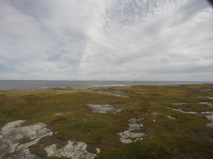 Photograph of Pinchard's Island, Newfoundland — September 23, 2017 at 10:59 AM