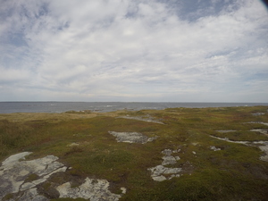 Photograph of Pinchard's Island, Newfoundland — September 23, 2017 at 12:59 PM