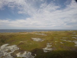 Photograph of Pinchard's Island, Newfoundland — September 23, 2017 at 1:59 PM