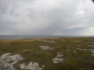 Photograph of Pinchard's Island, Newfoundland — September 23, 2017 at 2:59 PM