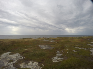Photograph of Pinchard's Island, Newfoundland — September 23, 2017 at 3:59 PM