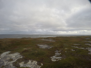 Photograph of Pinchard's Island, Newfoundland — September 24, 2017 at 7:59 AM