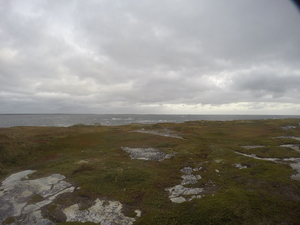 Photograph of Pinchard's Island, Newfoundland — September 24, 2017 at 8:59 AM