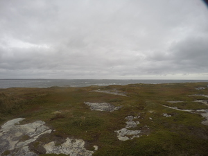 Photograph of Pinchard's Island, Newfoundland — September 24, 2017 at 9:59 AM