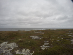 Photograph of Pinchard's Island, Newfoundland — September 24, 2017 at 11:59 AM