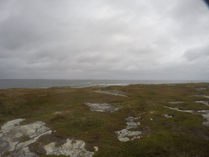 Photograph of Pinchard's Island, Newfoundland — September 24, 2017 at 12:59 PM