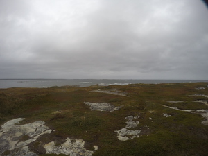 Photograph of Pinchard's Island, Newfoundland — September 24, 2017 at 1:59 PM