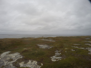 Photograph of Pinchard's Island, Newfoundland — September 24, 2017 at 2:59 PM