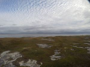 Photograph of Pinchard's Island, Newfoundland — September 25, 2017 at 7:59 AM