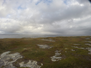 Photograph of Pinchard's Island, Newfoundland — September 25, 2017 at 8:59 AM