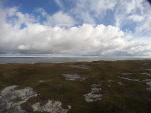Photograph of Pinchard's Island, Newfoundland — September 25, 2017 at 9:59 AM