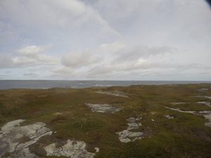 Photograph of Pinchard's Island, Newfoundland — September 25, 2017 at 11:59 AM