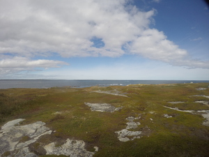 Photograph of Pinchard's Island, Newfoundland — September 25, 2017 at 1:59 PM
