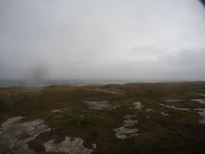 Photograph of Pinchard's Island, Newfoundland — September 26, 2017 at 7:59 AM