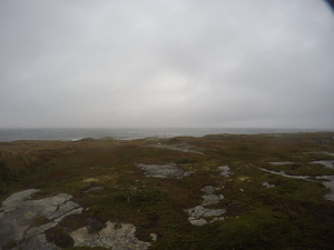 Photograph of Pinchard's Island, Newfoundland — September 26, 2017 at 8:59 AM
