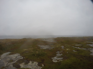 Photograph of Pinchard's Island, Newfoundland — September 26, 2017 at 9:59 AM