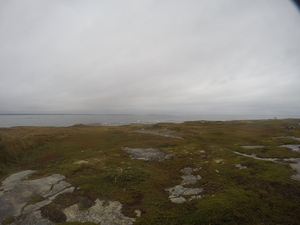 Photograph of Pinchard's Island, Newfoundland — September 26, 2017 at 11:59 AM