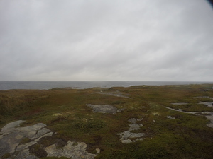 Photograph of Pinchard's Island, Newfoundland — September 26, 2017 at 1:59 PM