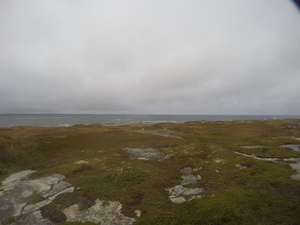Photograph of Pinchard's Island, Newfoundland — September 26, 2017 at 2:59 PM