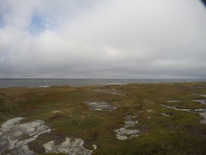 Photograph of Pinchard's Island, Newfoundland — September 26, 2017 at 3:59 PM