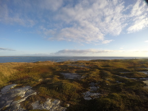 Photograph of Pinchard's Island, Newfoundland — September 27, 2017 at 7:59 AM